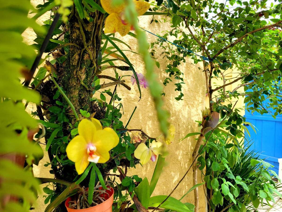 Pousada Recanto Dos Nativo Araquari Exteriör bild